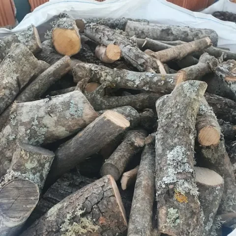 Leña de Olivo