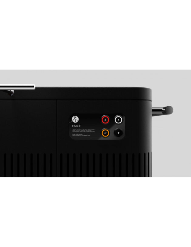 BARBACOA DE CARBÓN EVERDURE HUB® II - Imagen 3