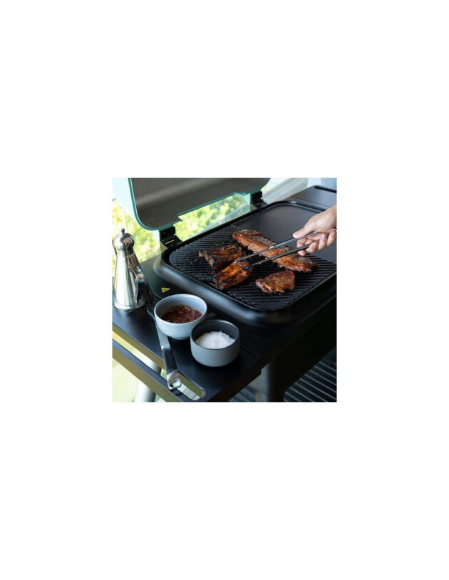 BARBACOA DE GAS EVERDURE FORCE® - Imagen 3