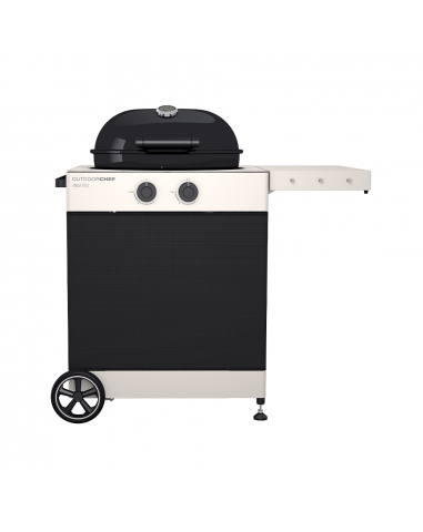 BARBACOA GAS AROSA TEX